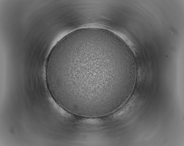 X0000111920998200908031201