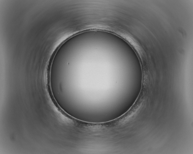 X0000111920999200908031201