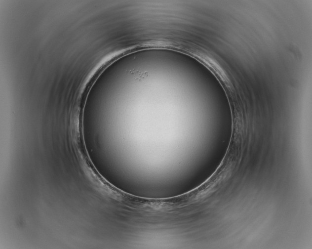 X0000111921000200908031201