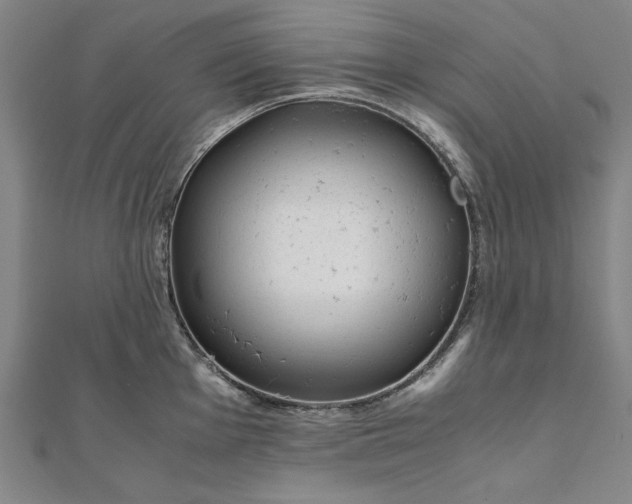 X0000111921001200908031200