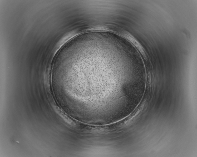 X0000111921002200908031200
