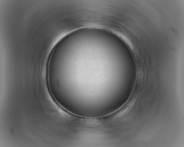 X0000111921007200908031200