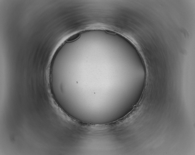 X0000111921008200908031200