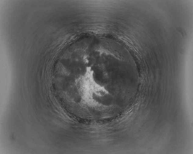 X0000111921009200908031200