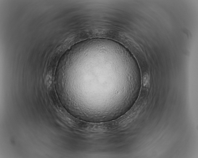 X0000111921011200908031200