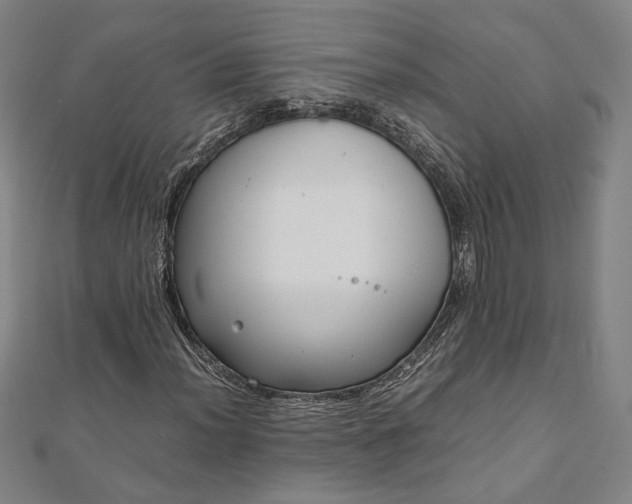 X0000111921012200908031200