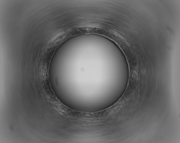 X0000111921014200908031200