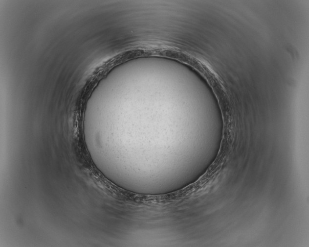 X0000111921016200908031200
