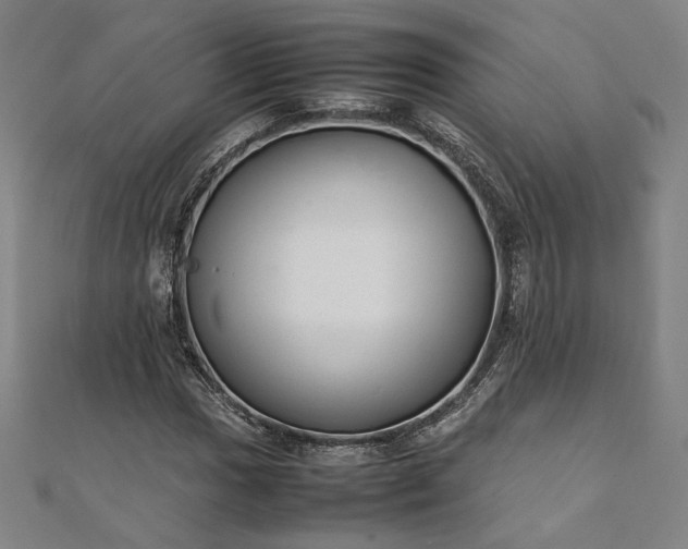 X0000111921017200908031200