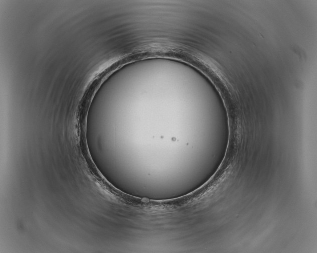 X0000111921018200908031200