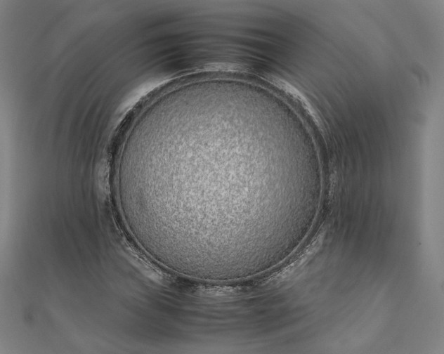 X0000111921019200908031200