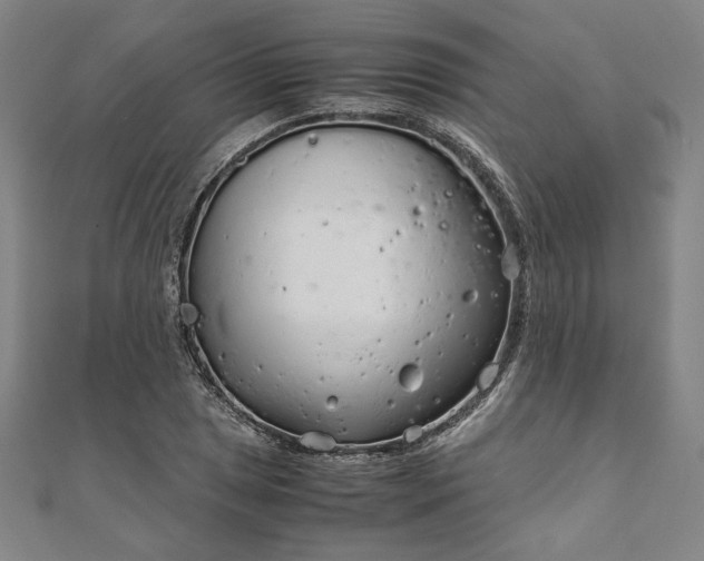X0000111921025200908031200