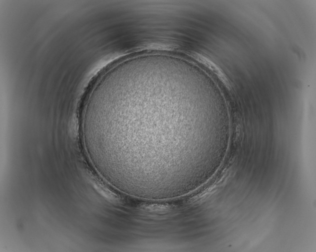 X0000111921027200908031200