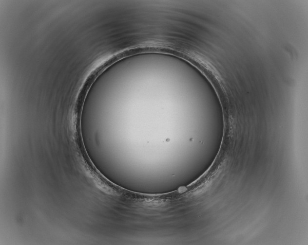 X0000111921029200908031200