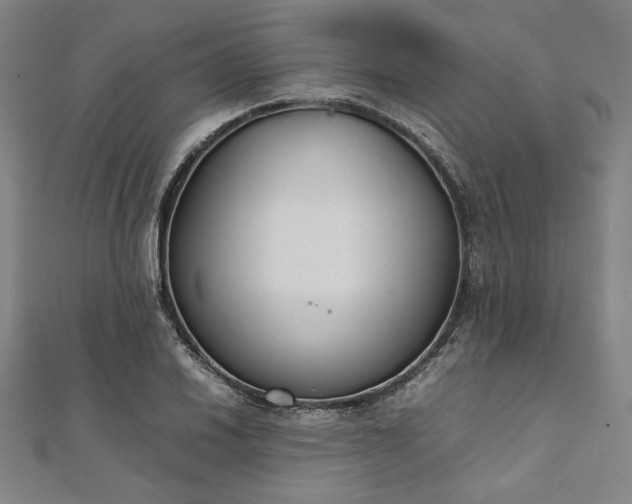 X0000111921030200908031200