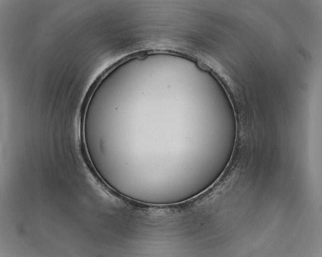 X0000111921032200908031200