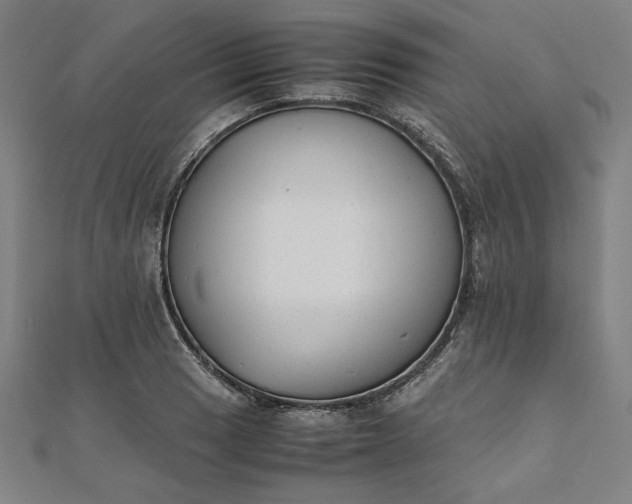 X0000111921033200908031200