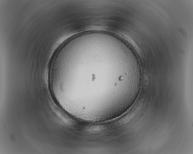 X0000111921035200908031200