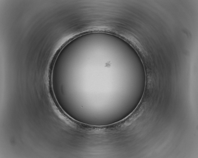 X0000111921038200908031200