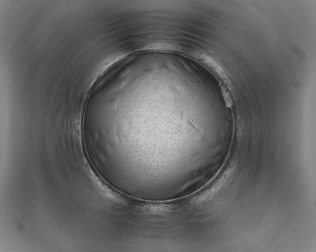 X0000111921041200908031200