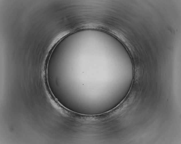 X0000111921042200908031200