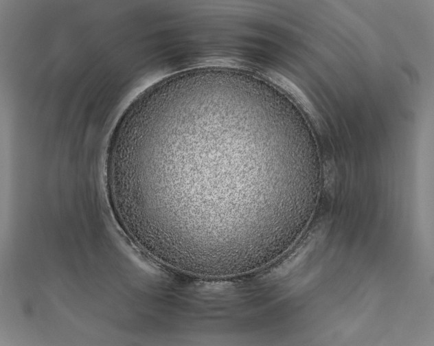 X0000111921043200908031200