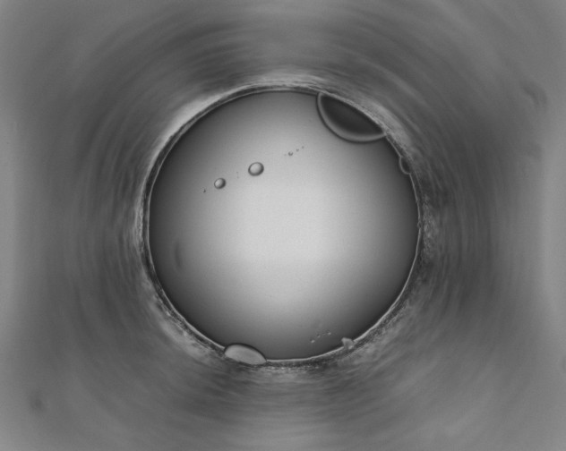 X0000111921044200908031200