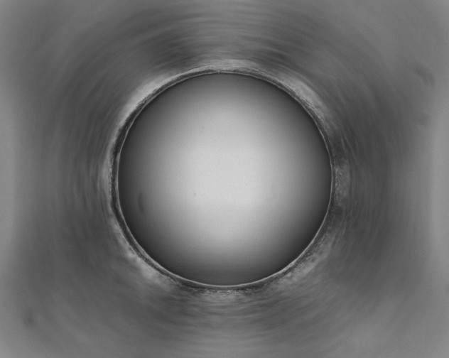 X0000111921046200908031200