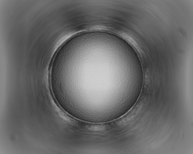 X0000111921047200908031200