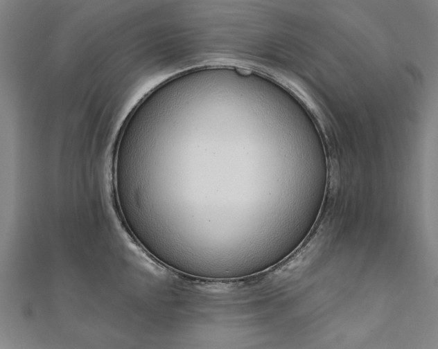 X0000111921048200908031200