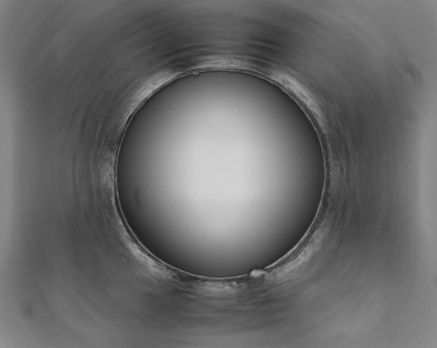 X0000111921049200908031200