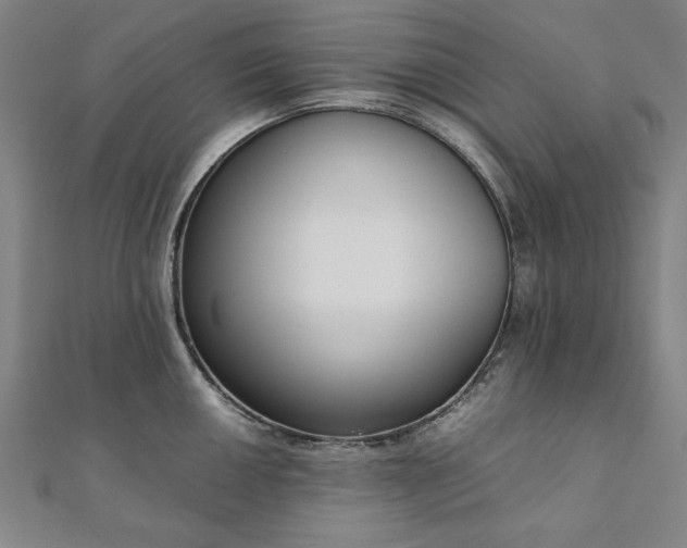 X0000111921050200908031200