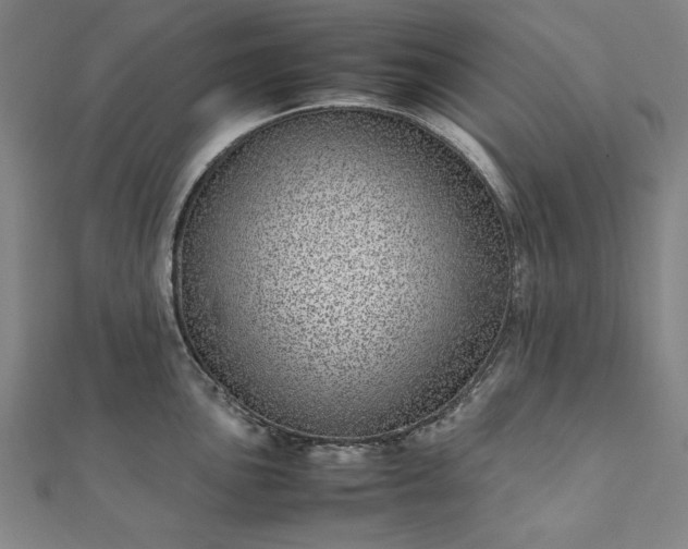 X0000111921051200908031200