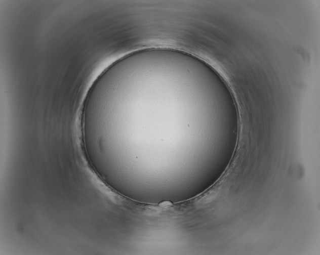 X0000111921056200908031200