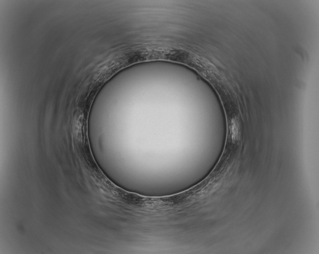 X0000111921059200908031200