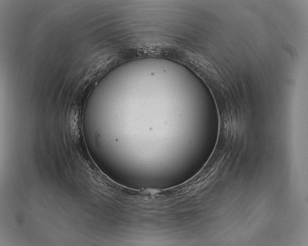 X0000111921060200908031200