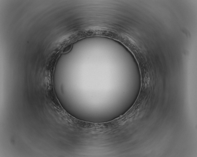 X0000111921062200908031200