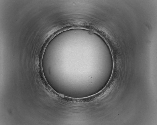 X0000111921065200908031200