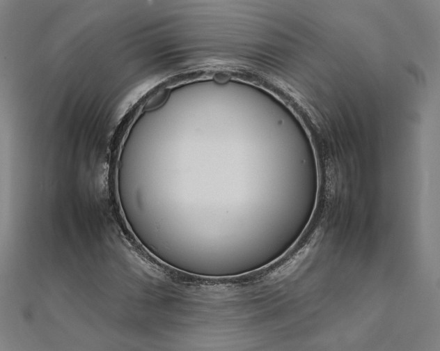 X0000111921066200908031200
