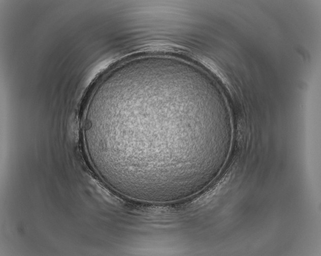 X0000111921067200908031200