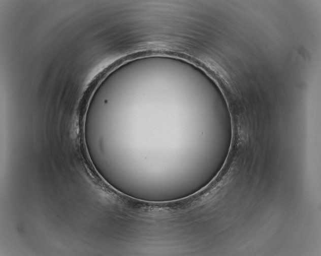 X0000111921070200908031200