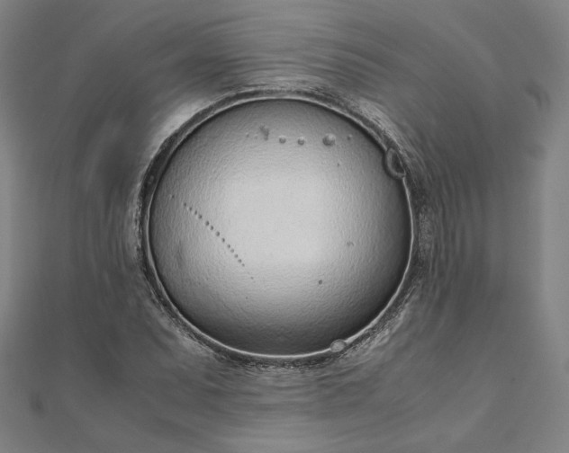 X0000111921071200908031200