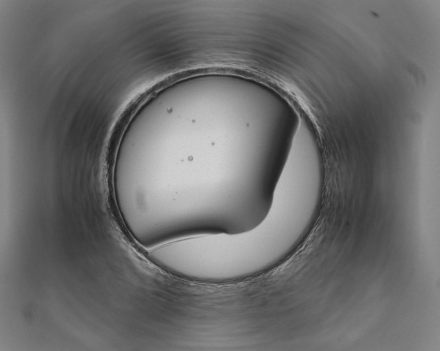 X0000111921072200908031200