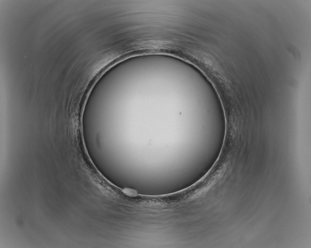 X0000111921073200908031159