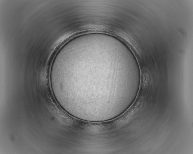 X0000111921074200908031159