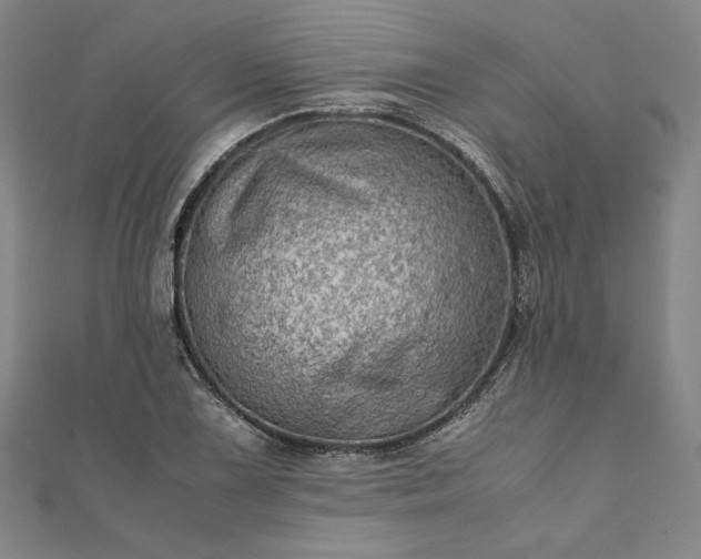 X0000111921075200908031159