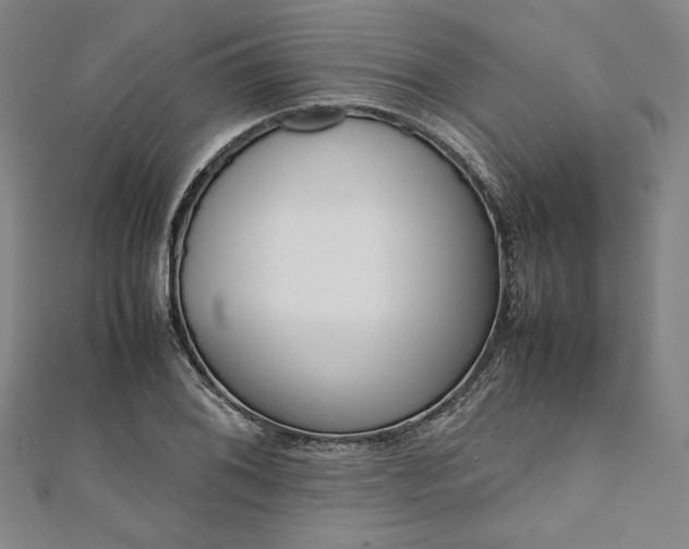 X0000111921076200908031159