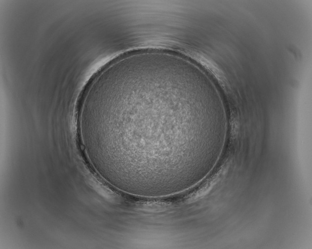 X0000111921077200908031159
