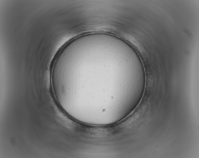 X0000111921079200908031159