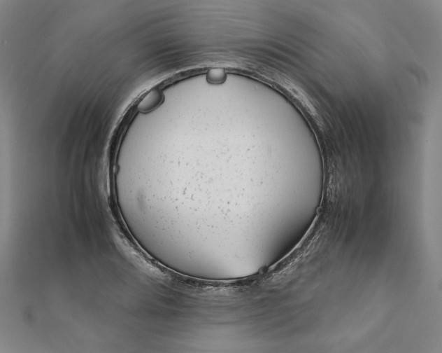 X0000111921080200908031159